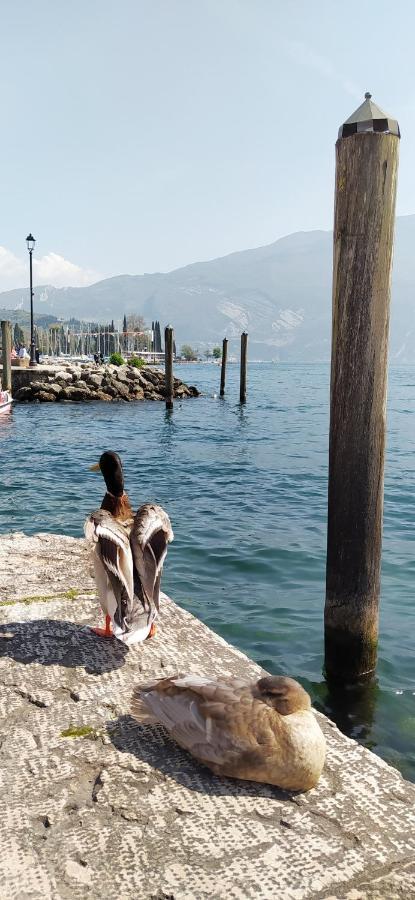 Riva Del Garda Nest Apartment Luaran gambar